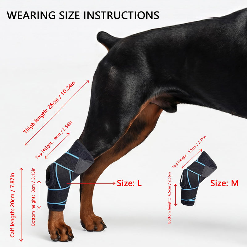 Dog Knee Brace for Back Leg, ACL Support for Large Dogs, Adjustable Dog Leg Brace for Hind Leg Injuries, Canine Joint Wrap for Arthritis Recovery (L) L