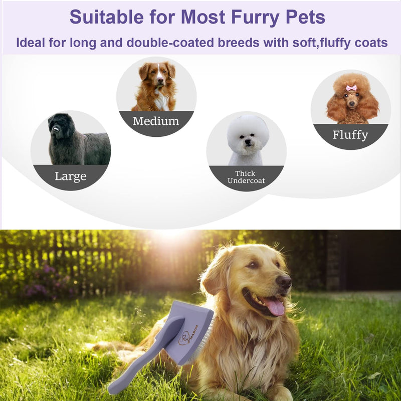 Large Wooden Slicker Brush for Dogs & Mid Plastic Slicker Brush for Goldendoodles & Pet Comb Value Kit,Slicker Brush for Poodles Doodle with Ergonomic Handle Best Extra Long Pin Dog Grooming Brush - PawsPlanet Australia