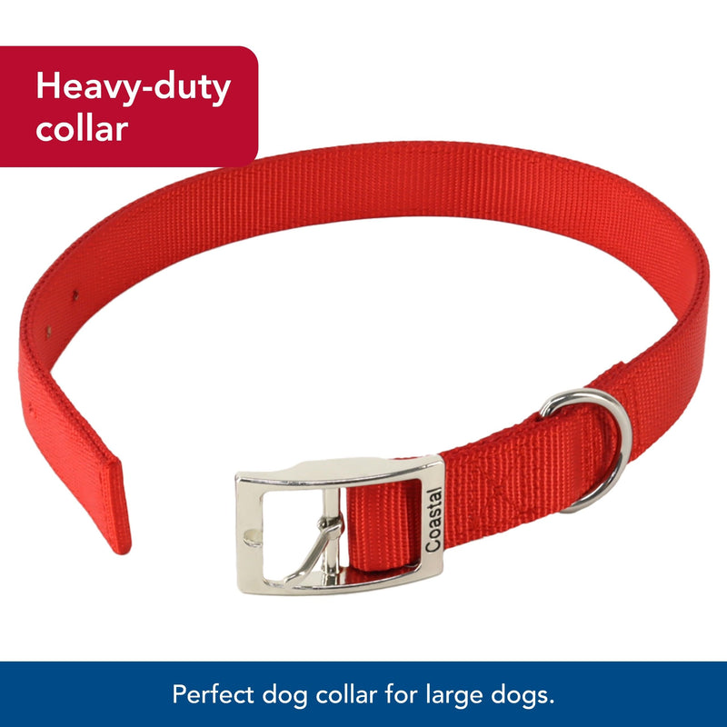 Coastal Pet - Double-Ply Dog Collar, Blue, 1" x 26" 1" x 26" (Pack of 1) - PawsPlanet Australia