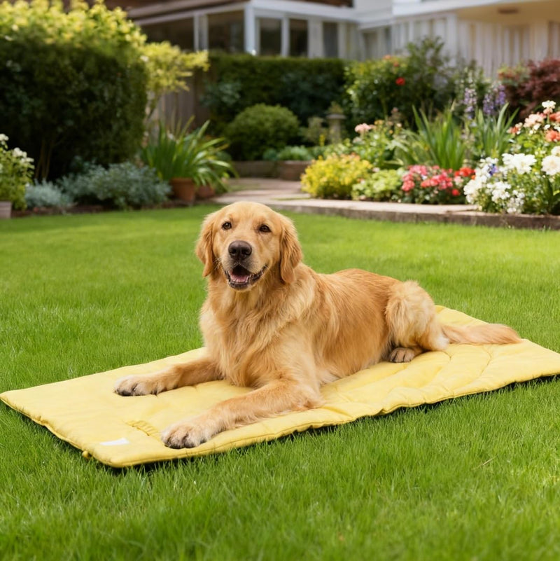 Travel Dog Bed | Camping Dog Bed | 37.4"x25.6" Waterproof Outdoor Dog Mat | Portable Place Mat for Dogs with Handle | Machine Washable | Easy Clean for Outdoor Adventures (Brown) Brown（37.4‘’x25.6‘’） - PawsPlanet Australia