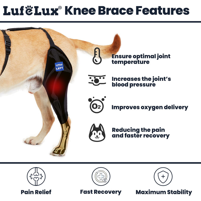 Dog Knee Brace with Harness and Connection Belt, Lightweight and Stretchable, Support for Torn ACL Hind Leg, Luxating Patella, Reduces Arthritis Pain and Inflammation (XX-Small) XX-Small