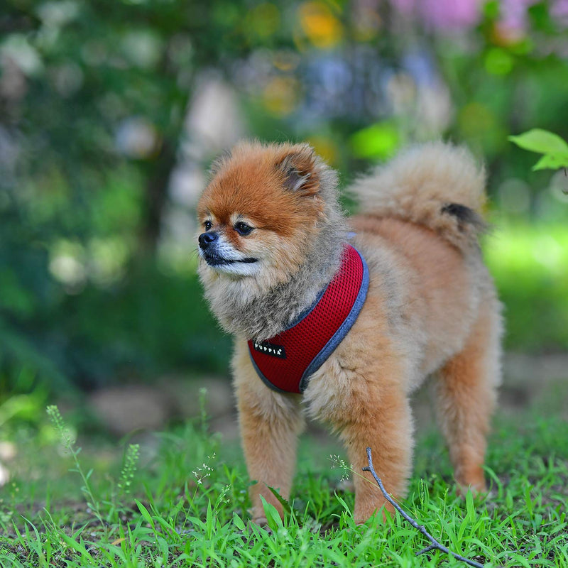 Puppia Soft Dog Harness II and adjustable harness for small or medium dogs, Wine Red M