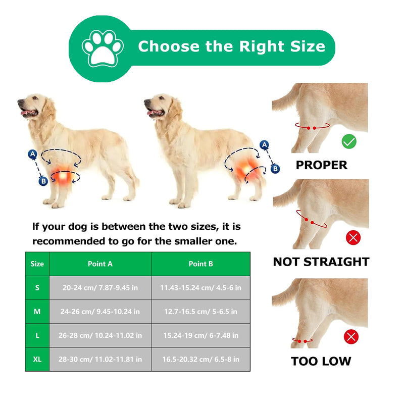 2024 Upgraded Dog Hip Brace Large Breed Dog Knee Brace- Dog Acl Brace Hind Leg & Joint Relief - Dog Leg Braces - Back Leg for Support (M) Medium - PawsPlanet Australia