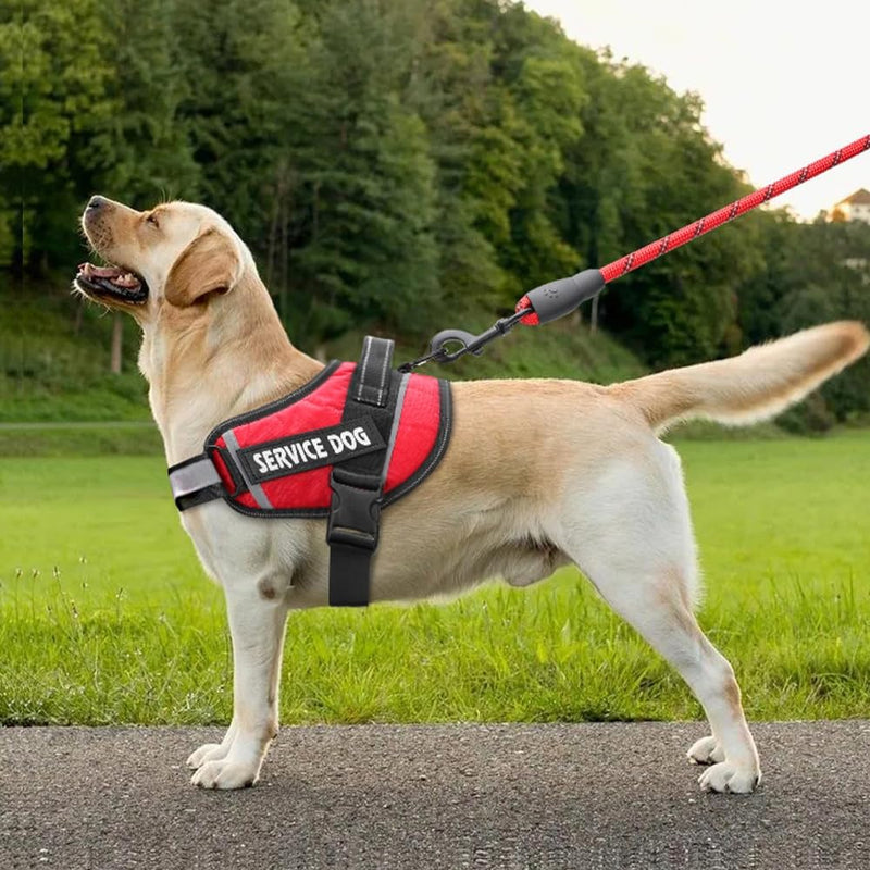 barkOufitters Service Dog Vest Harness and 5 Sizes (Red, S, 23" - 28" Girth)