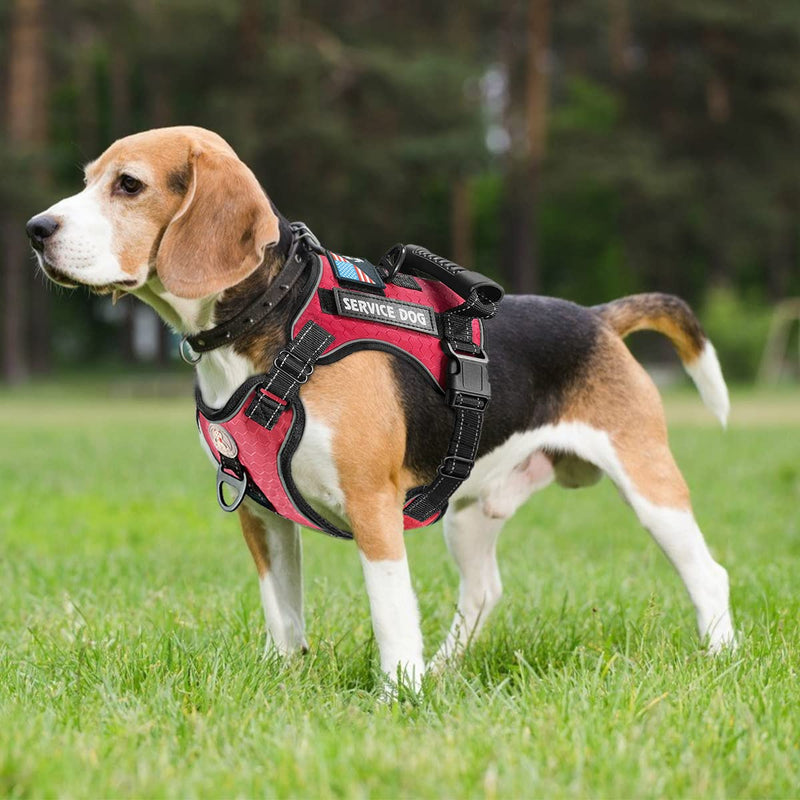 Cymiler Service Dog Vest,No-Pull Dog Harness and Leash Set,Adjustable Oxford Reflective Service Dog Vest Harness with Handle for Outdoor Walking Training,Easy Control for Small Medium Large Dogs Small (Pack of 1) Red - PawsPlanet Australia