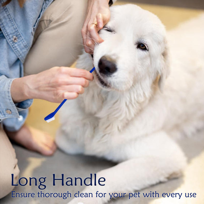 Dog Toothbrush Set, 30 Pieces Double Head Toothbrush Dog with Long Handle, Dog Toothbrush Set Dog Toothbrush for Small, Medium and Large Dogs, Cats and Pets, 4 Colors