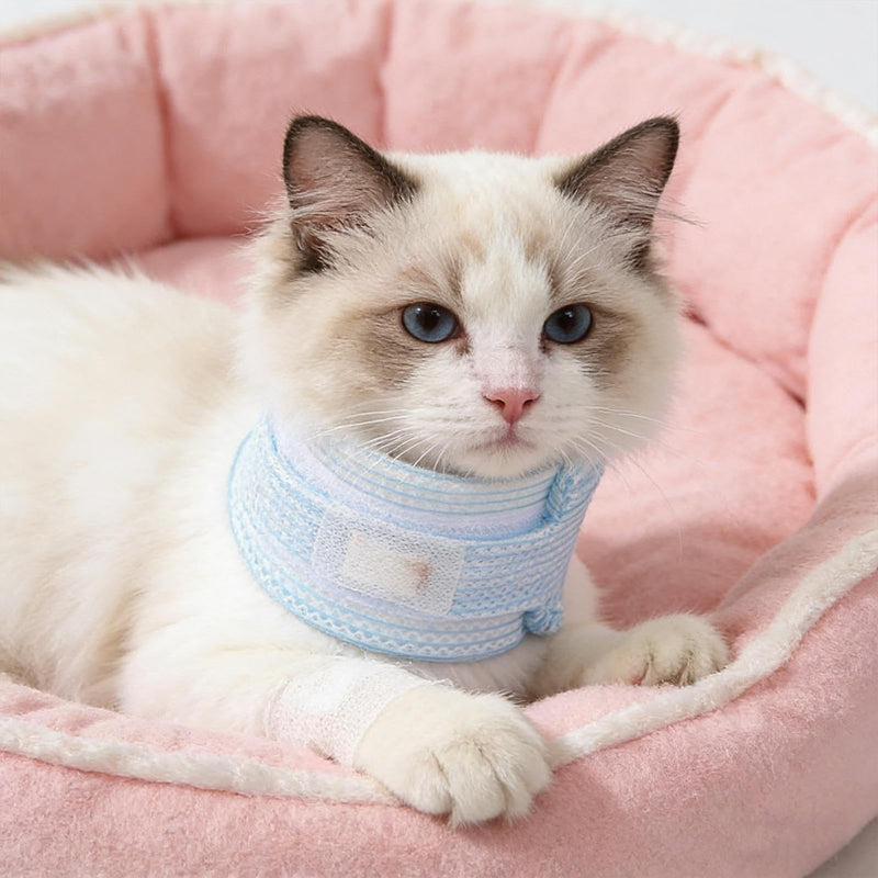 Weiche Katzen-Halsbandage – Atmungsaktiver Leckschutz-Kragen Mit Verstellbarem Wundschutz | Elisabethanische Stützabdeckung Für Die Erholung OP & Alltag | Bequeme Halskrause Für Kleine Bis Mittel Blau S