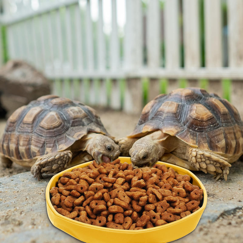 4 Pcs Reptile Dish,Round Plastic Water Dish for Reptile Tank,Food Dishes Lizard Tank,for Lizard, Turtle, Gecko, Snake, Bearded Dragon,4.45" W x 4.45" D x 0.6" H(4 Color) - PawsPlanet Australia