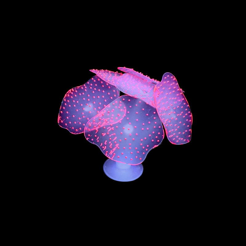 Lpraer 4 Pack Glow Aquarium Decorations Coral Reef Glowing Mushroom Anemone Simulation Glow Plant Glowing Effect Silicone for Fish Tank Decorations 4 Pcs(coral Reef+branch Coral+mushroom+anemone) - PawsPlanet Australia
