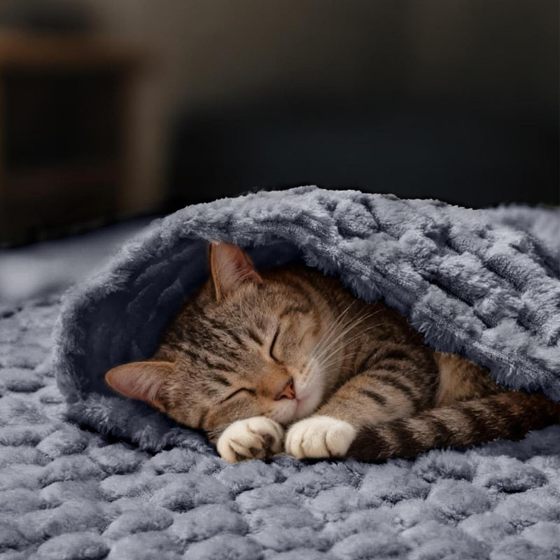 Luciphia 300GSM Fleece Dog Blanket for Small Medium Large Dogs 3D Jacquard 1 Pack 3 Flannel Puppy Cat Pet Throw Blankets Soft Washable Decorative Furniture Protect Pcs3-Grey/White/Pink, L(41''x31'') L(41''x31'') - PawsPlanet Australia