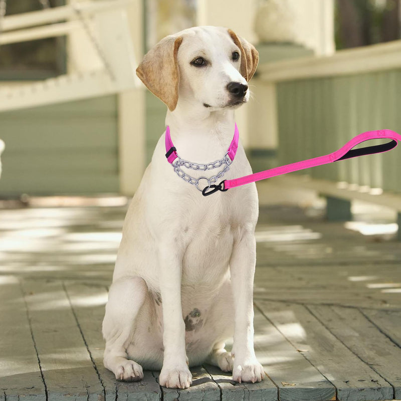 Martingale Dog Collar with Stainless Steel Chain and Leash Set, Martingale Collar with Reflective, 5FT Double Handle Dog Leash Padded, Adjustable for Medium Large Dogs (Hot Pink, M) Hot Pink - PawsPlanet Australia