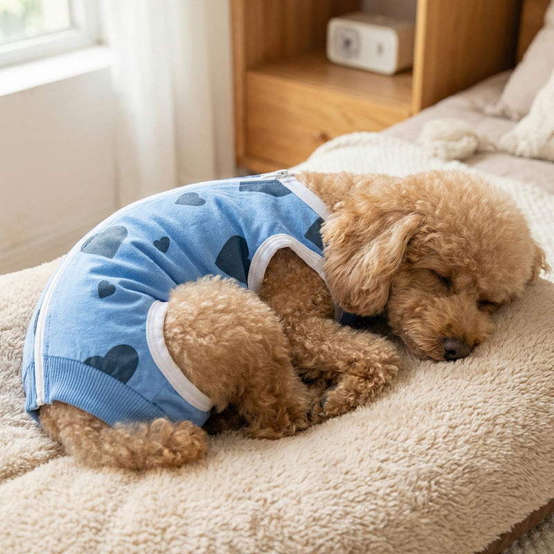 Dog Recovery Suit, Anti-Licking Puppy Medical Surgical Suits Post-Operative Abdominal Wounds Protector, Cotton with Top Zip Cozy Dogs Onesie for Small Medium Dog Cat Cone Alternative (M, B)