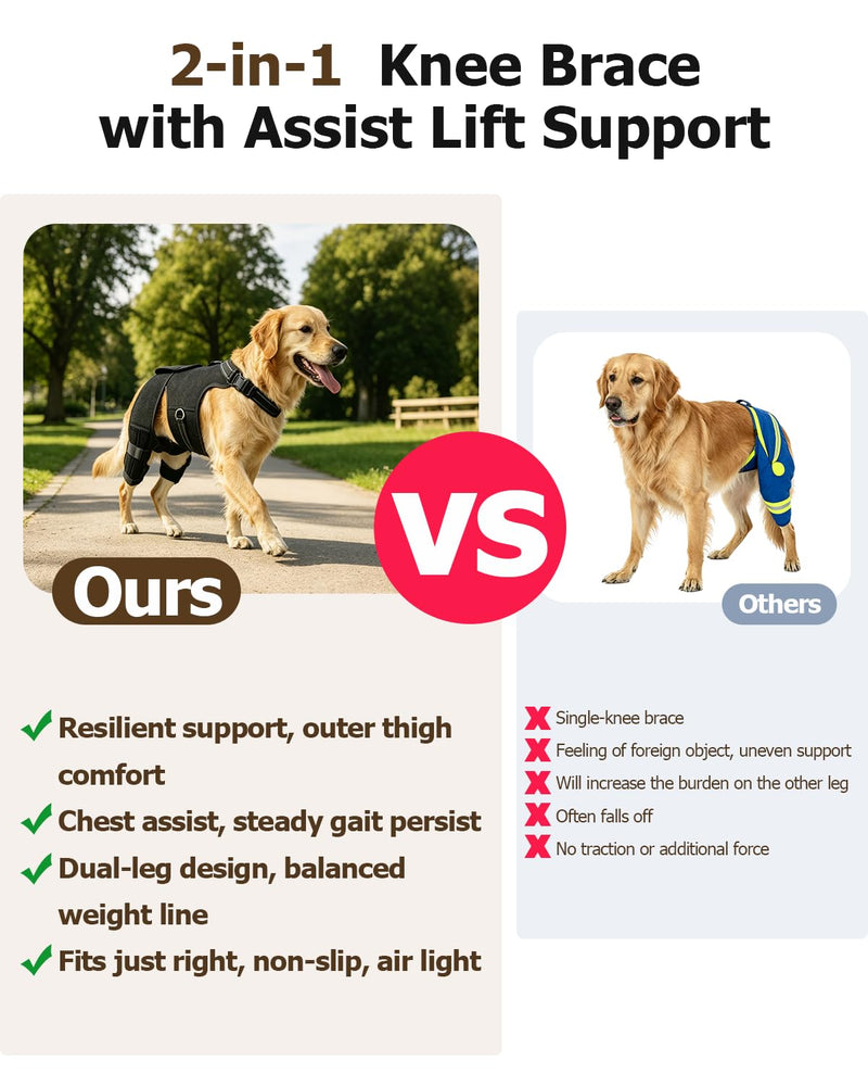 2-in-1 Dog Knee Brace and Lift Harness, Adjustable Back Leg Support with Stabilizers for ACL Recovery & Joint Care, Dog Sling for Hind Legs, Mobility Aid for Elderly Dogs with Luxating Patella (M) M