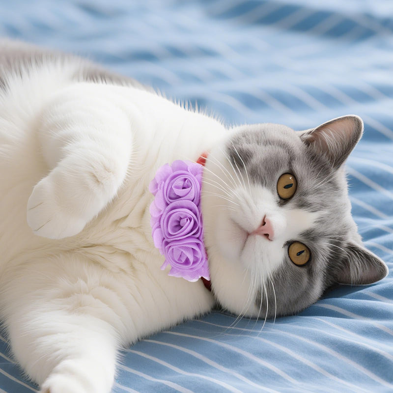 6Pcs Large Flowers Dog Collar, Dog Collar Flowers Charms Attachment Neck Bows Sliders Flower Bow for Female Small Medium Big Puppy Cat Rabbit Pet Grooming Accessories Wedding Birthday Party - PawsPlanet Australia