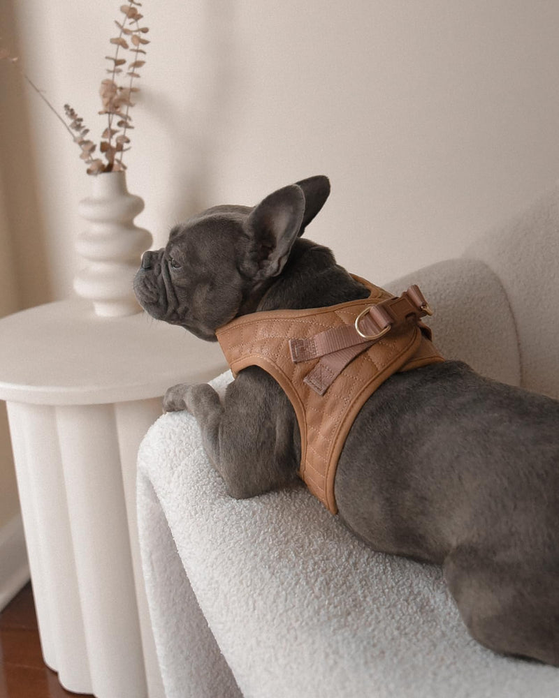 Step-in Dog Vest Harness Classic Quilted Design Vegan Leather Reflective Lightweight Breathable Mesh Soft White Taupe Brown Durable Stylish Pet Accessory (Tan Brown, Small) Tan Brown Small: Neck=9.4-11.4''/Chest=14.5-17'' - PawsPlanet Australia