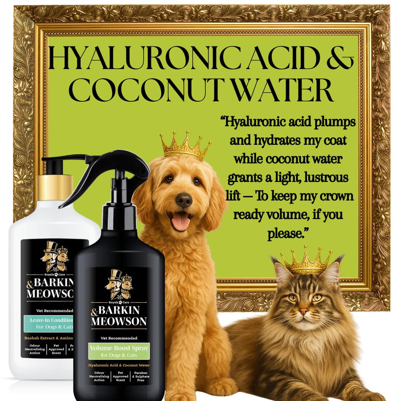 Barkin & Meowson Volume Boost Spray for Dogs & Cats 350ml / 11.83 fl.oz - Hyaluronic Acid & Coconut Water, Pet-Friendly Scent
