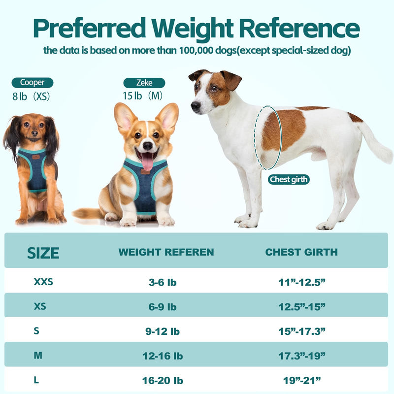 Dog Harness with Multifunction Dog Leash,No Pull Reflective Step-in Harness for Soft Adjustable No Choke Escape Proof,Easy Walk Dog Harness for Puppy,Small Dogs (Blue&Green, XXS) XX-Small Blue&Green - PawsPlanet Australia