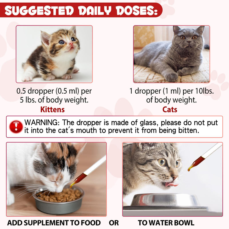 Liquid Iron Supplements for Cats,LiquiI Iron with Vitamin C and B12,Supports Anemia, Low Enery Levels and Lethargy,Promotes Blood Health, Helps with Formation of Red Blood Cell - PawsPlanet Australia