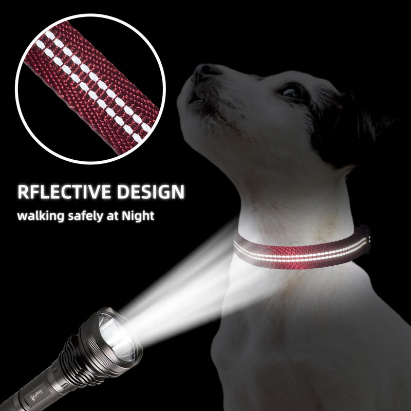 Adjustable Nylon Reflective Martingale Dog Collar for Training and Walking (Red, M (Neck: 15"-22", Width: 3/4")) M (Neck: 15"-22", Width: 3/4") Red - PawsPlanet Australia