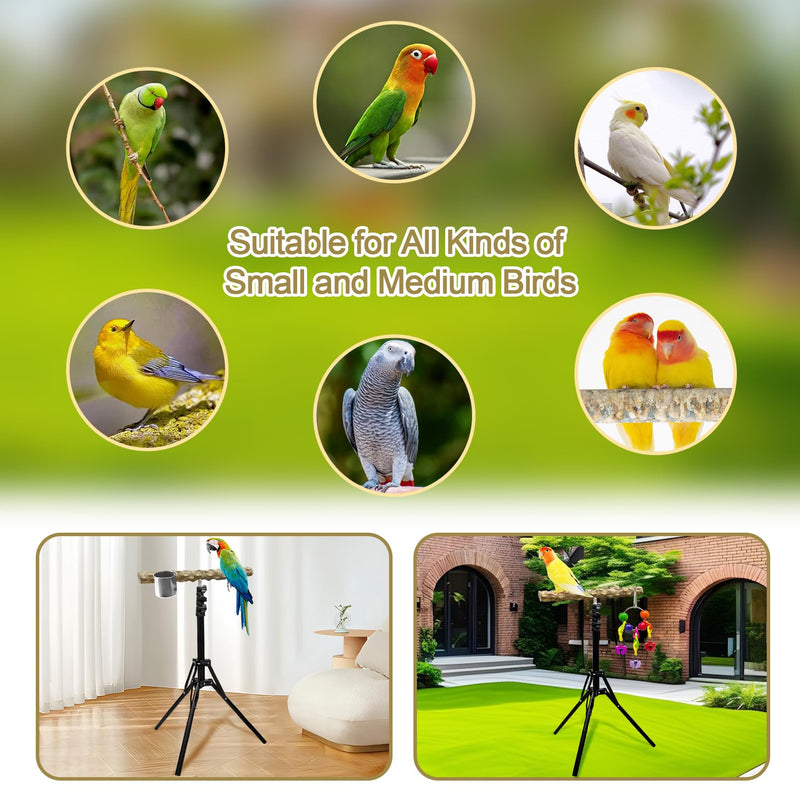 16-63 Inch Height Adjustable Bird Perch Pepper Wood Bird Training Perch Stand Parakeet Perches Indoor and Outdoor Parrot Stands for Small to Medium Bird Floor Bird Perch - PawsPlanet Australia