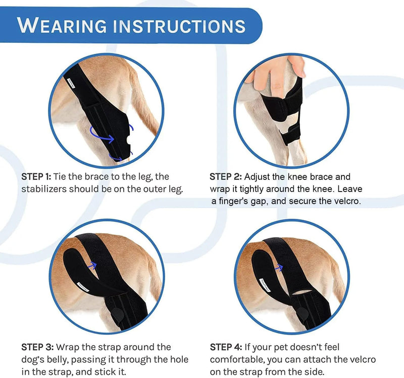 Dog Knee Brace for Ligament Injuries with Side Stabilizers, for Front or Hind Leg; Keeps The Joint Warm and Stable - Extra Support - Reduces Pain and Inflammation (Small) Small