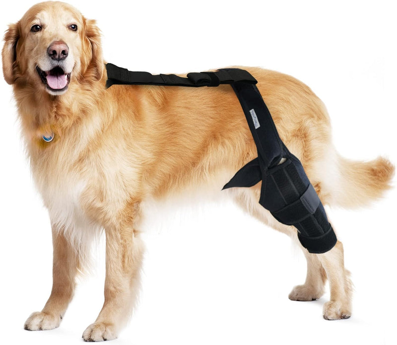 Dog Knee Brace for Torn ACL Hind Leg, Cruciate Ligament Injuries, Patella Dislocation, Double Straps and Comfortable Dog Leg Braces for Back Leg Support (Left- X Large) Left- X large - PawsPlanet Australia
