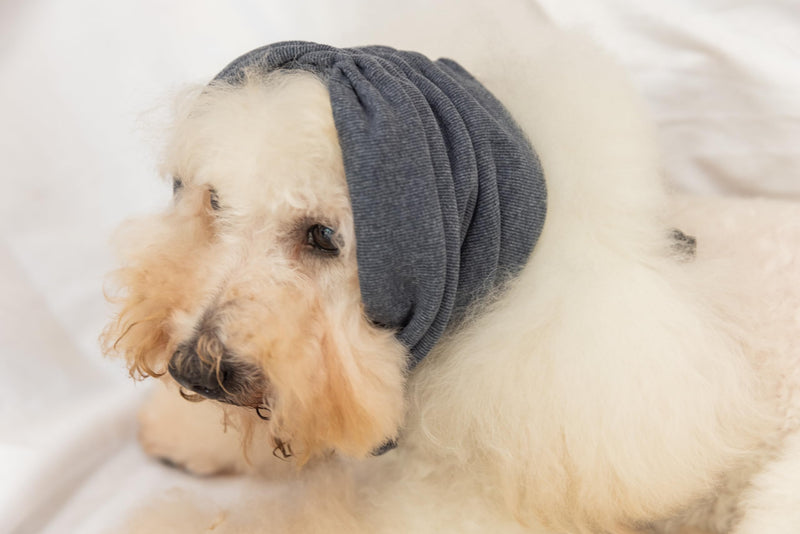 Dog Blow Dryer Ear Cover,Dog No Flap Ear Wrap Anxiety & Stress Relief - Dog Ear Flap Wrap for Surgery Recovery Grey M Medium - PawsPlanet Australia