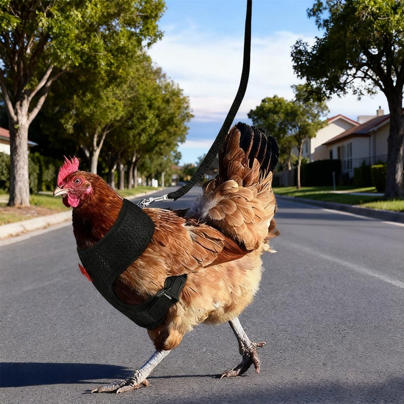 Chicken Harness and Leash Set Adjustable Mesh Breathable Duck Training Harness Pets Leashs for Goose Hen Rooster Parrots Dog Kitten, Blue M M( Chest 18.1-20.5") - PawsPlanet Australia