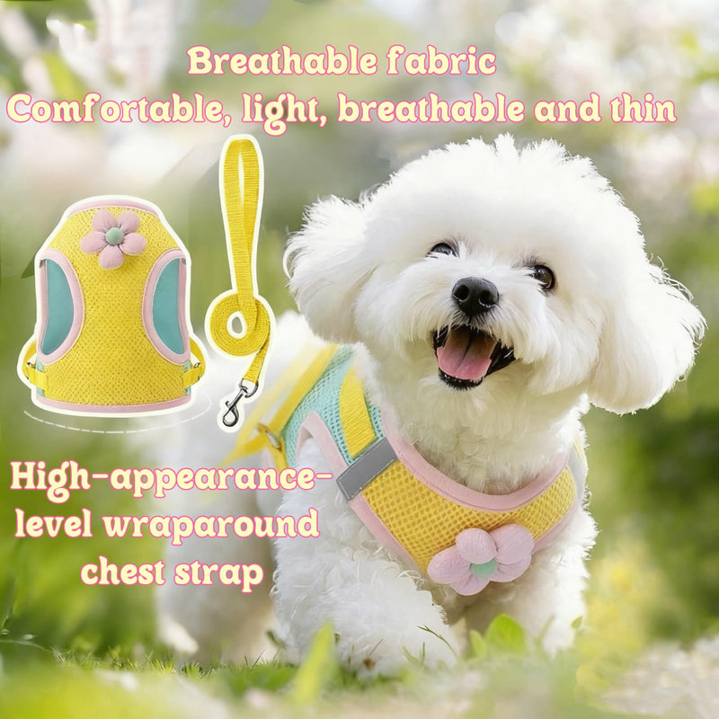 Floral Mesh Dog Harness with Matching Leash, Summer Lightweight Pet Vest, Pink/Yellow (Pink, M:8-12lbs) - PawsPlanet Australia