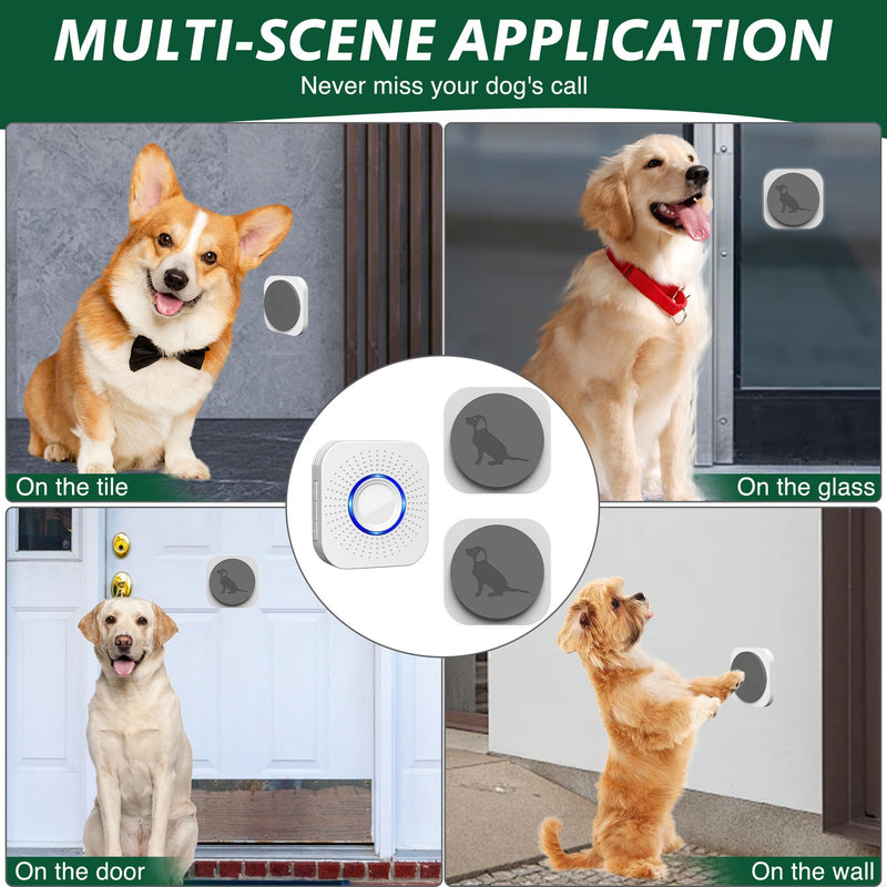 Dog Door Bell for Potty Training, Smart Wireless Doggie Doorbell to Go Outside, 1000 Feet Long Range with IP65 Waterproof Touch Button, 20 Melodies & Adjustable Volume (2 Button) - PawsPlanet Australia