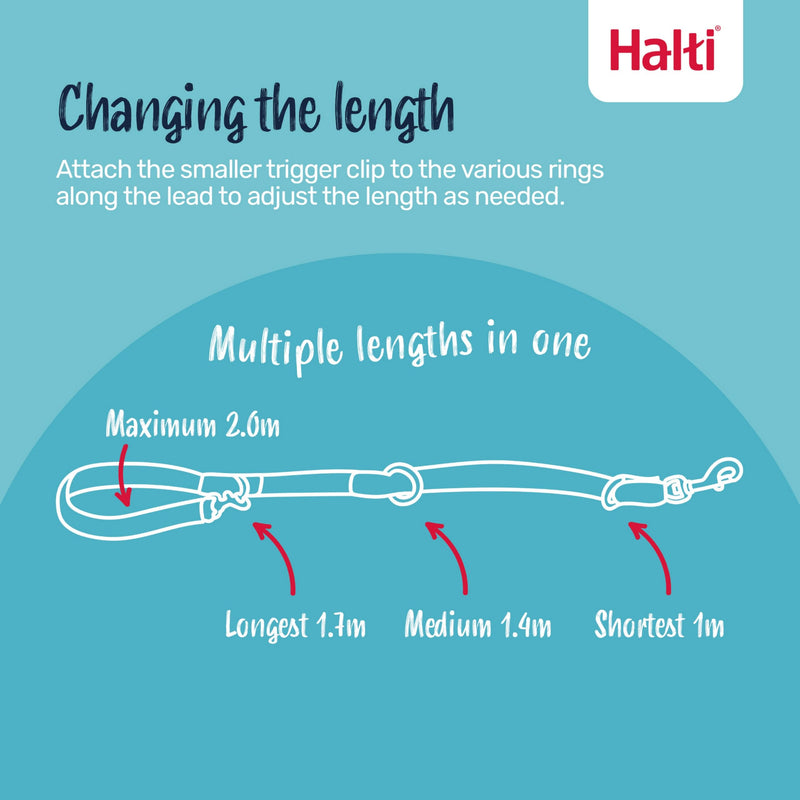 Halti Training Lead - Professional No-Pull Double-Ended Dog Lead, Lightweight, Soft & Durable, Ideal for Obedience Training & Everyday Walks with Dogs and Puppies (Size Small, Burnt Orange, 2m) S - PawsPlanet Australia
