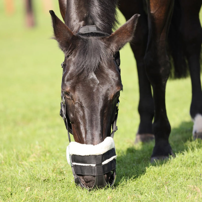 Shires FreeGraze Airflow Grazing Muzzle (Black, Full) Black