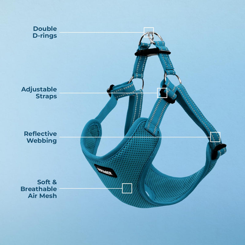 Best Pet Supplies Voyager Adjustable Dog Vest Harness Breathable No Pull Harness for Small, Medium, Large Dogs, Harness for Walking, Jogging, Easy Step-in, Reflective Stripes - Turquoise, S Harness (Turquoise) S (Chest: 15 - 18") - PawsPlanet Australia