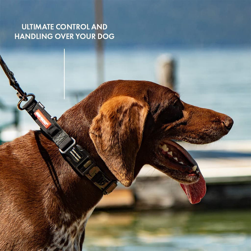 EzyDog Checkmate Dog Collar | Dog Collar Small, Medium, Large Dogs, Reflective Dog Collar, Supreme Comfort, Soft Neoprene Material, Strong Nylon (Black) Black - PawsPlanet Australia