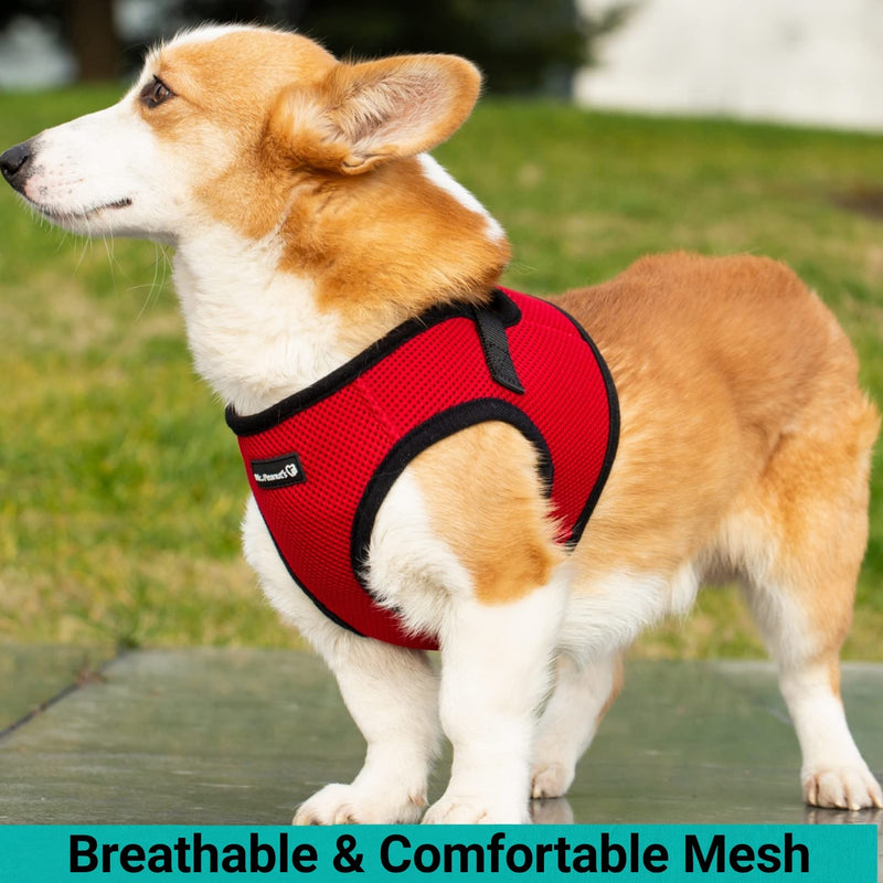 Mr. Peanut's PupTrek Small Dog/Cat Soft Mesh Step in Harness Vest (Small, Blue) - PawsPlanet Australia