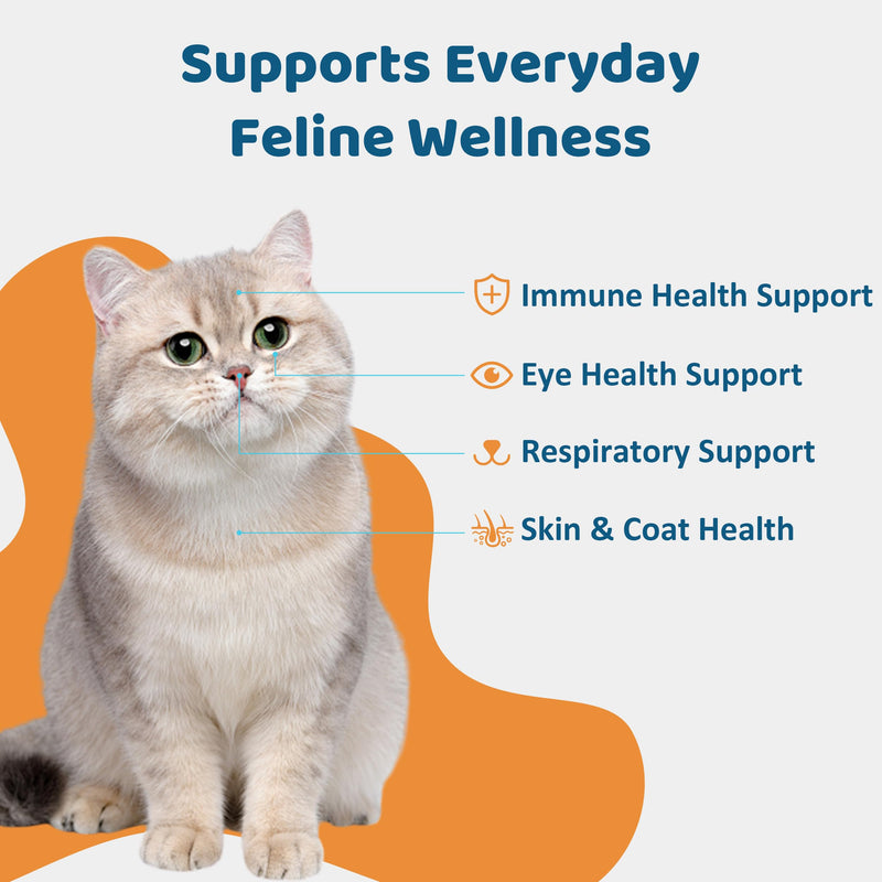 L-Lysine for Cats Oral Paste – Immune & Respiratory Support for Felines – with Collagen, Zinc, Multivitamins & Probiotics – Natural Chicken Flavor, 4.23 oz (120g) (1)