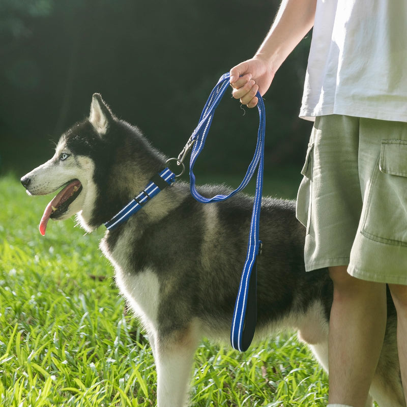 EXCELLENT ELITE SPANKER Double Layer Reflective Nylon Dog Leash Padded Handle 5 FT Nylon Dogs Leashes for Walking Training Lead for Small & Medium Dogs(Light Blue) 5ft * 3/4" Light Blue - PawsPlanet Australia