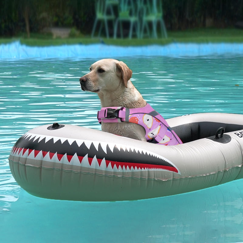 Kuoser Dog Life Jacket with Reflective Stripes, Adjustable High Visibility Dog Life Vest for Swimming Boating L (Chest Girth:22.8-29.5'') Pear - PawsPlanet Australia