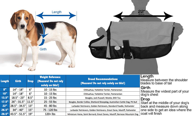 Derby Originals Horse Tough 600D Ripstop Waterproof Winter Dog Coat 150g Medium Weight 22 in Hurricane Blue