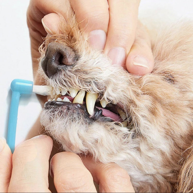 Dog Toothbrush, Finger Toothbrushes, 360 Degree Toothbrush, Triple Head Dog Toothbrushes, Double Head Toothbrush,Cleaning Brushes for Dog Cat Oral Dental Health 9Pack - PawsPlanet Australia
