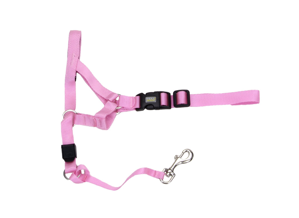 Walk 'n Train Dog Head Halter, Bright Pink, Size 00, X-Small