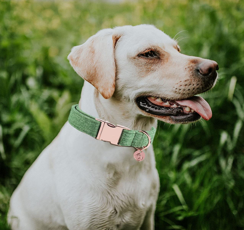 DOGWONG Cotton Dog Collar and Leash, White Dog Collar Pink Dog Collar and Leash for Small Medium Large Dog S green - PawsPlanet Australia