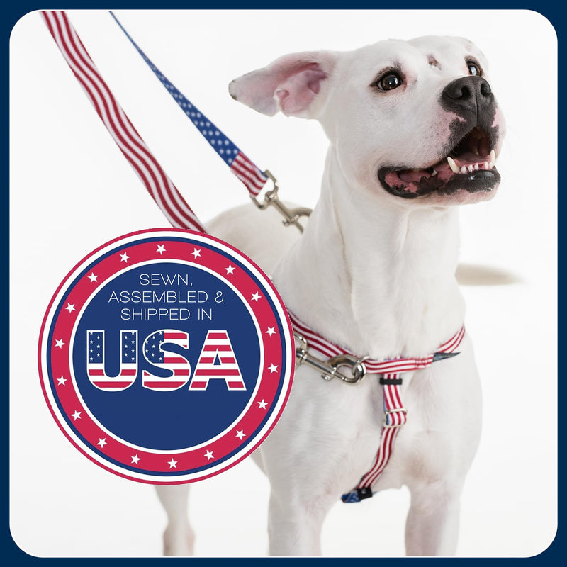2 Hounds Design Freedom No Pull Dog Harness, Adjustable Harness and Leash Set, Easy Walking & Comfortable Control, Fits Small, Medium & Large Dogs, Solid Colors, Made in USA, 1" LG, Kelly Green LG (Chest 28" - 32") - PawsPlanet Australia