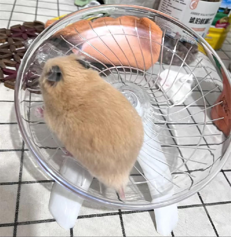 Funny Hermit Crab Running Wheel Climb Toy, Hamster Reptiles Running Flying Wheel Saucer, Cute Running Wheel for Guinea Pig Small Pet Animals Tree Frog Hamster Lizard Salamander Hermit Crab (White) White - PawsPlanet Australia