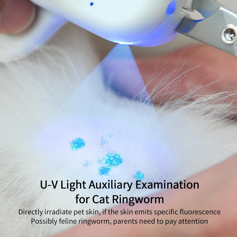 PAKEWAY Pet Nail Clipper with LED & -U-V Light, Cat Claw Trimmer with Ultra Bright LED Light for Nail Bloodline to Avoid Over Cutting, Sharp Angled Blade Grooming Tool for Dog Cat Rabbit Small Animals Suitable for Cats＆Dogs Grey - PawsPlanet Australia