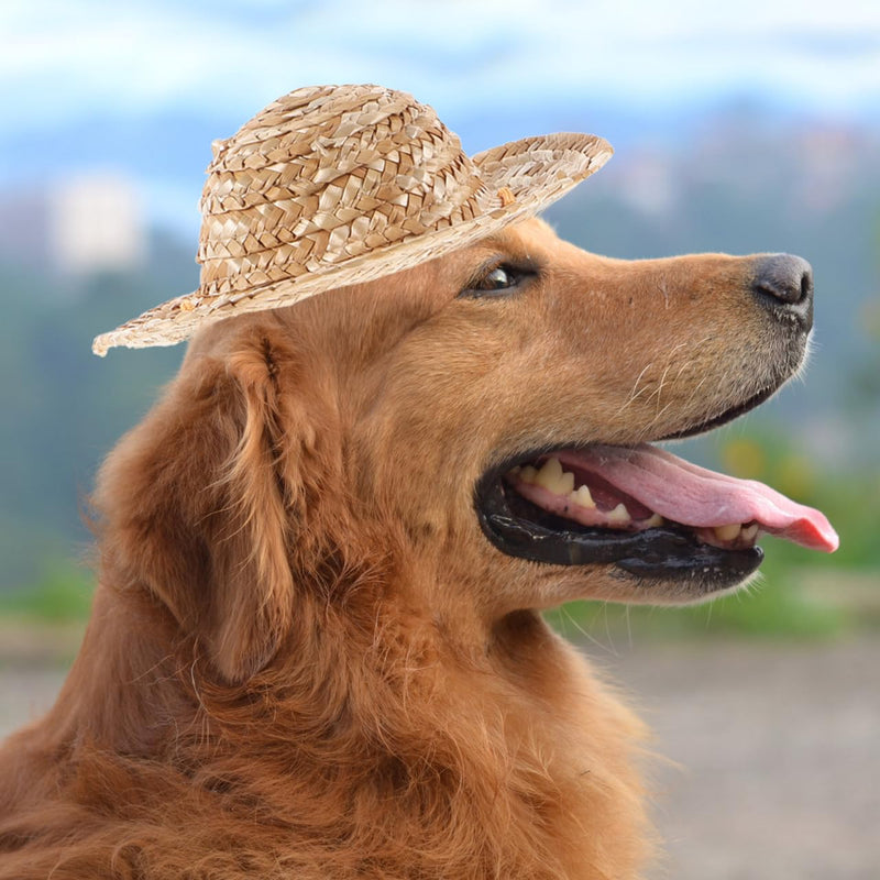 Pet Sombrero Straw Hat - Summer Hat Adjustable Hawaii Garden Sun Bucket Cap Beach Hat for Puppy Small Dogs Cats (Size L) Picture 1 - PawsPlanet Australia