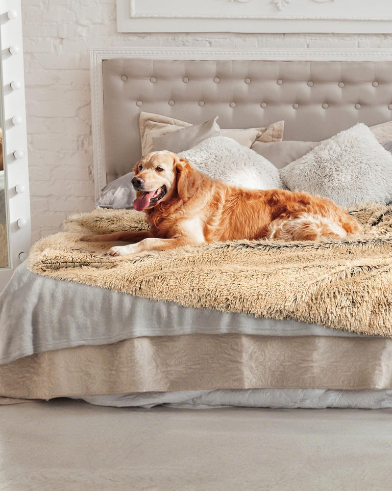 PJYuCien Dog Blankets for Medium Large Dogs Washable - Fluffy Fuzzy Cat Blanket for Couch, Puppy Throw for Furniture with Polyester Fleece, Super Soft Plush for Pet Kitten Doggy, Brown, 50" x 60" 60" x 50" - PawsPlanet Australia