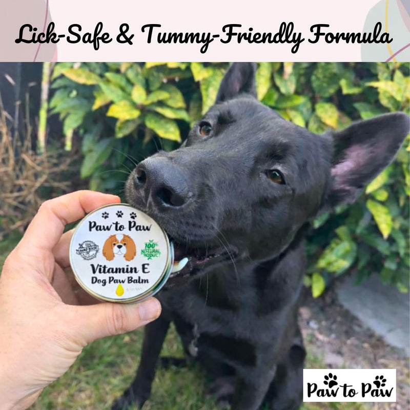 Dog Paw & Nose Balm with Vitamin E - Alcohol Free, Natural Lick-Safe Paw Protector for Cracked Pads & Dry Nose, Softening Vit E Infused Moisturiser for Daily Grooming, 60ml (Large) Large