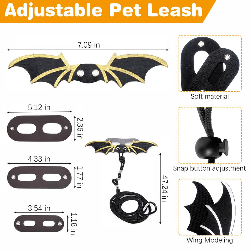 kathson Bearded Dragon Carrier with Harness and Leash Set, Large Reptile Travel Carrier Portable Lizard Backpack Clear Small Animals Carrying Bag for Gecko Hamster Rabbit Hedgehog Kitten (Black) Black - PawsPlanet Australia