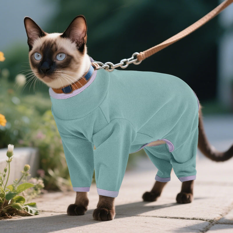 DENTRUN Cat Clothes for Hair Control with Hair Sticky Fabric - Soft Recovery Suit & Breathable Lint-Resistant Cat Sweater for Cats Only, Kitten Onesie Pajamas, XXL, Bean Green XX-Large - PawsPlanet Australia